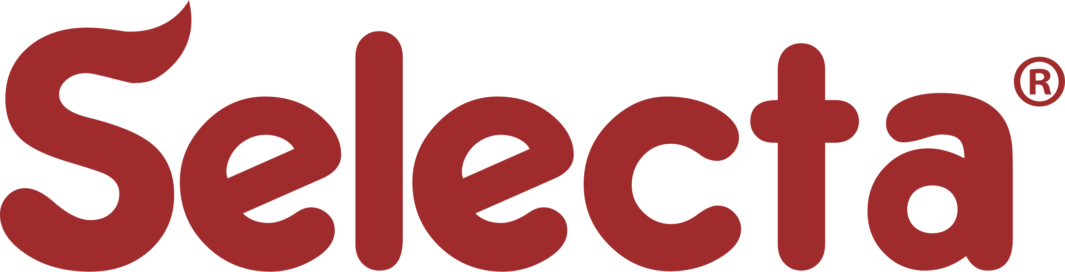 Selecta Chocolates